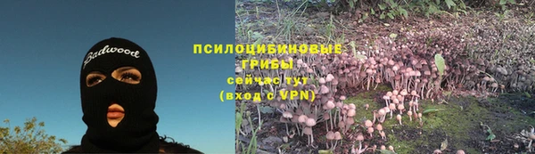 PSILOCYBIN Михайловск