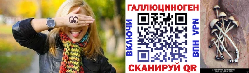 Галлюциногенные грибы MAGIC MUSHROOMS  Купить закладки  Кодинск 